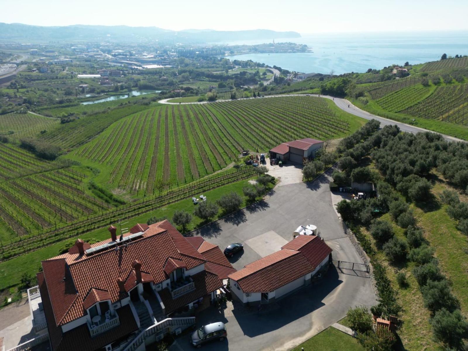 Sea Apartment Izola Zewnętrze zdjęcie